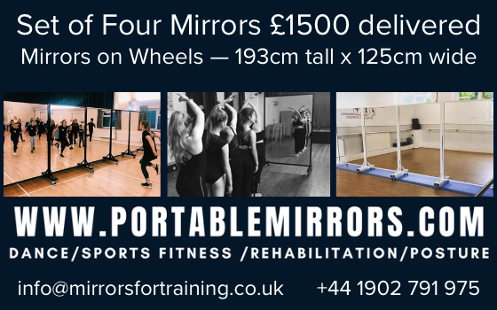 portable mirrors
